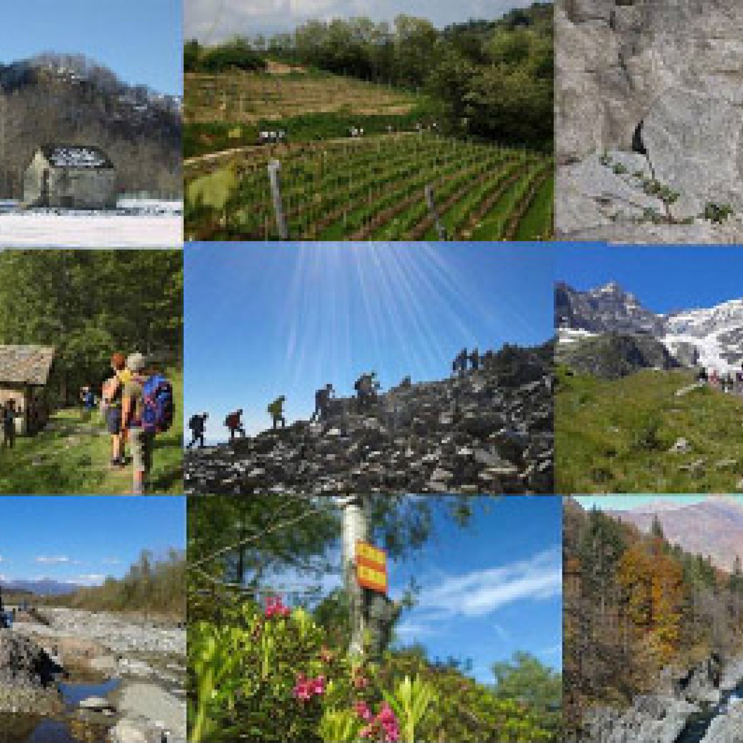 Escursioni Associazione Sesia Val Grande Geopark 